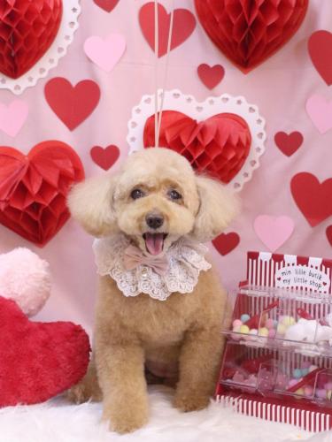 20240229モンチちゃん